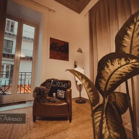 Citrus Luxury - With Up To 3 Bedrooms In Center * Palerme