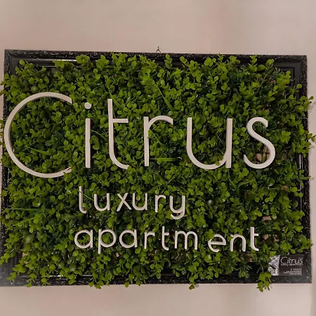 Citrus Luxury - With Up To 3 Bedrooms In Center Semesterbostad Palermo