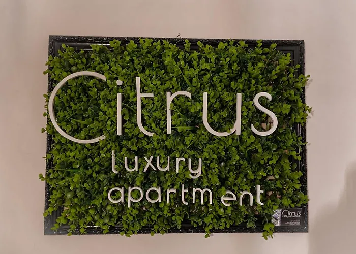 Citrus Luxury - With Up To 3 Bedrooms In Center Feriehus Palermo